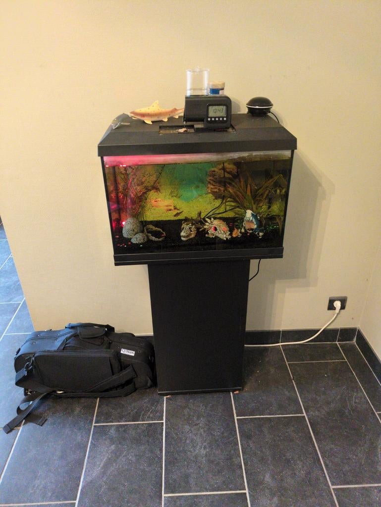 Visbak volledig met kast, Ophalen