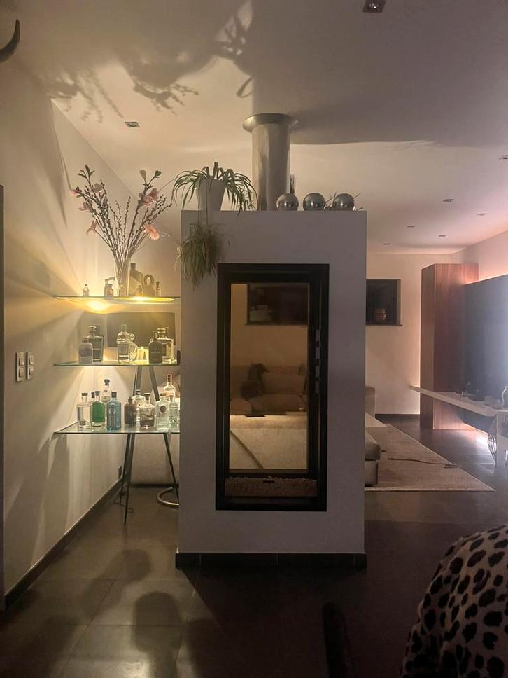 Vrijstaande gashaard met afstandsbediening, Huis en Inrichting, Haarden, Zo goed als nieuw, Gashaard, Ophalen