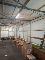 Kader partytent 6x12m, Ophalen, Gebruikt, Partytent, 6 meter of meer