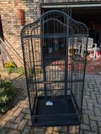 Papegaaien kooi, Enlèvement