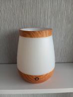 Vaasje met verlichting op batterij, Maison & Meubles, Accessoires pour la Maison | Fleurs séchées, Enlèvement