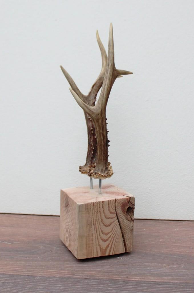 Zesender REE GEWEI paar op stevige houten sokkel (ref. 2), Collections, Collections Animaux, Neuf, Bois ou Tête, Cerf, Enlèvement ou Envoi