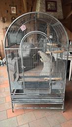 Vogelkooi, Enlèvement, Comme neuf, Cage à oiseaux