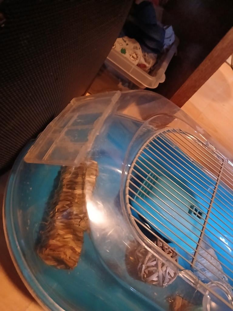 Kooi voor hamster 10 euro bieden mag, Ophalen