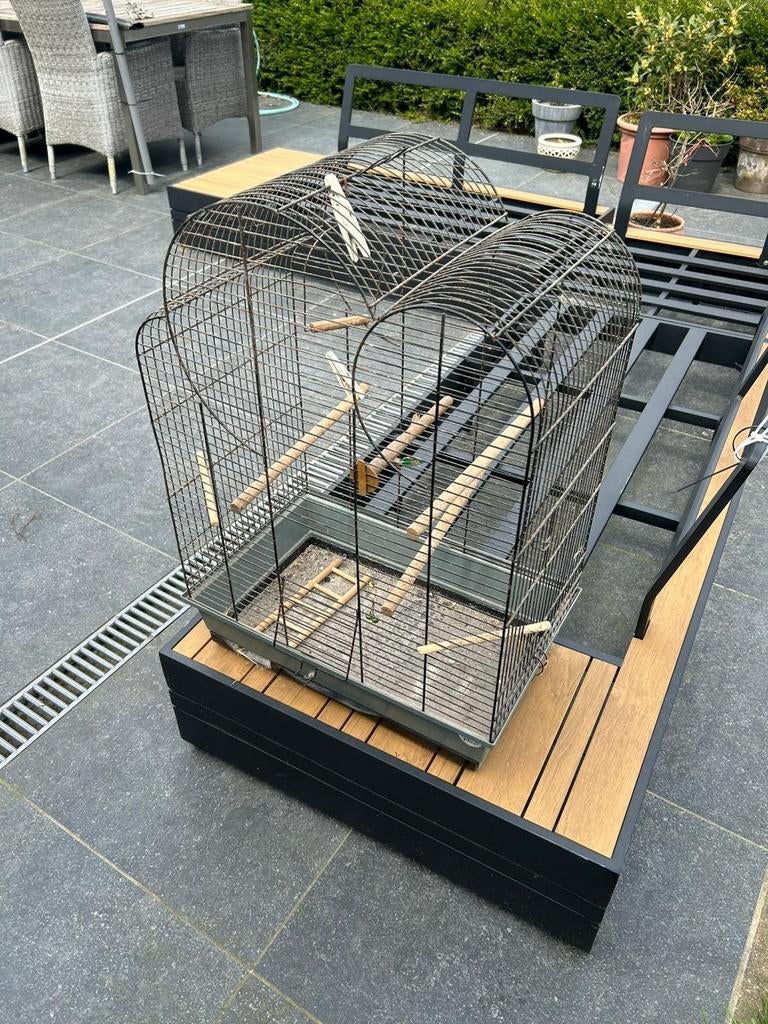 Cage à oiseaux, Enlèvement, Cage à oiseaux
