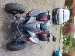 Quad Maxxer 300, Motoren, Quads en Trikes, 300 cc