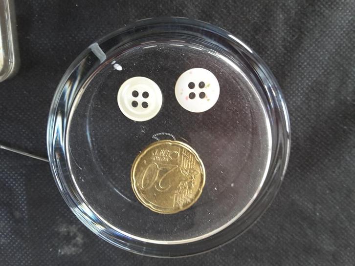 parelmoer knopen 12 mm wit 4 gaats B1240N4, Hobby en Vrije tijd, Naaien en Fournituren, Nieuw, Knoop of Knopen, Ophalen of Verzenden