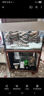 Aquarium met sump filter, Dieren en Toebehoren, Ophalen