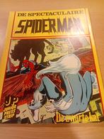 De spectaculaire spider-man.  De zwarte kat nr 13, Ophalen of Verzenden, Zo goed als nieuw