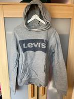 Grijze hoodie merk Levi’s maat 14 j, Kinderen en Baby's, Kinderkleding | Maat 176, Ophalen of Verzenden, Zo goed als nieuw