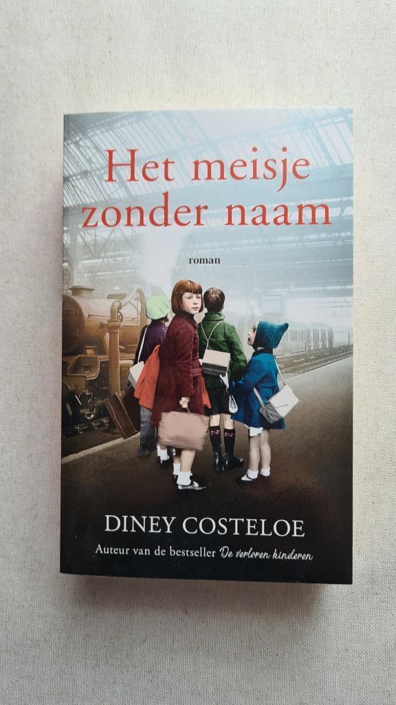 Het meisje zonder naam, Boeken, Romans, Zo goed als nieuw, Ophalen