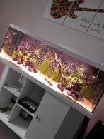 Aquatlantis stijl led 150 wit, Dieren en Toebehoren, Ophalen, Gebruikt, Gevuld zoetwateraquarium