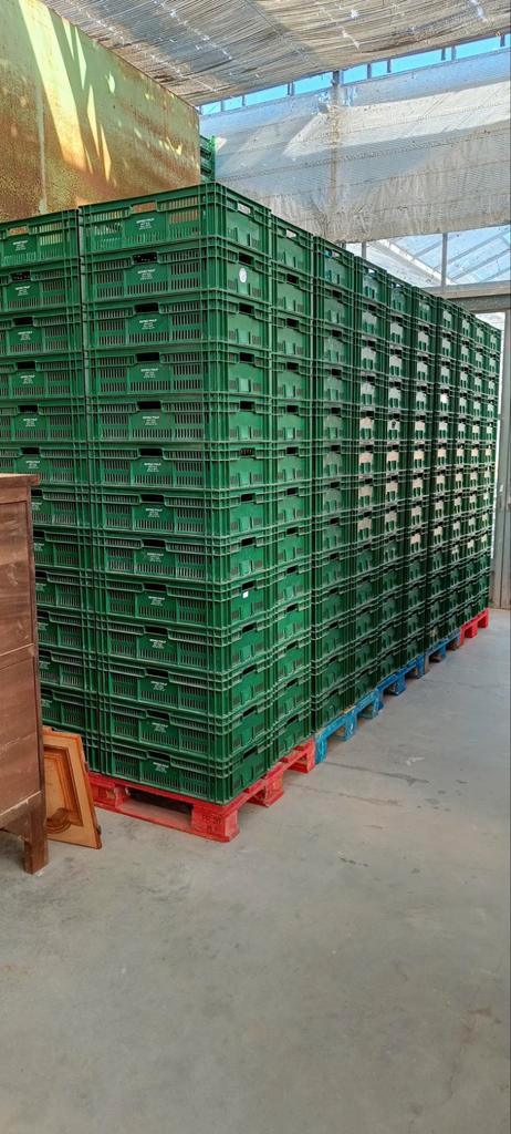 Lot kunststof bakken kratten PE 60x40x15cm, Zakelijke goederen, Kantoor en Winkelinrichting | Magazijn, Stelling en Opslag, Ophalen