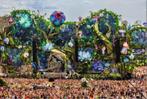 1 ticket Tomorrowland w2 full madness pass+dreamville, Tickets en Kaartjes, Evenementen en Festivals, Eén persoon