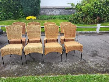 Lot van 8 rieten stoelen op zwart gelakte ijzeren poten. beschikbaar voor biedingen