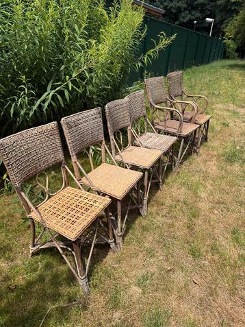 Rieten stoelen beschikbaar voor biedingen