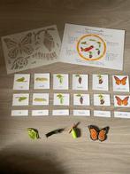 Le cycle de vie du papillon Montessori, Collections, Actions de supermarché, Enlèvement ou Envoi