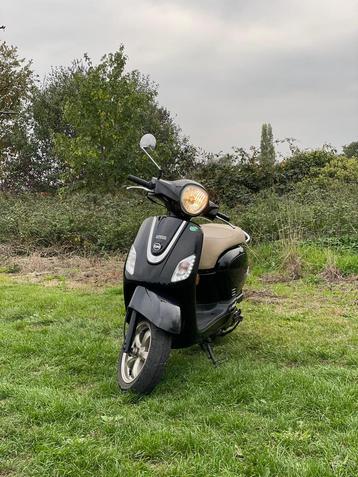 Sym fiddel 3 beschikbaar voor biedingen