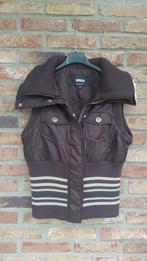 Donkerbruin warm gewatteerd damesjack maat M, Maat 38/40 (M), Bruin, Emoi by Emonite, Nieuw
