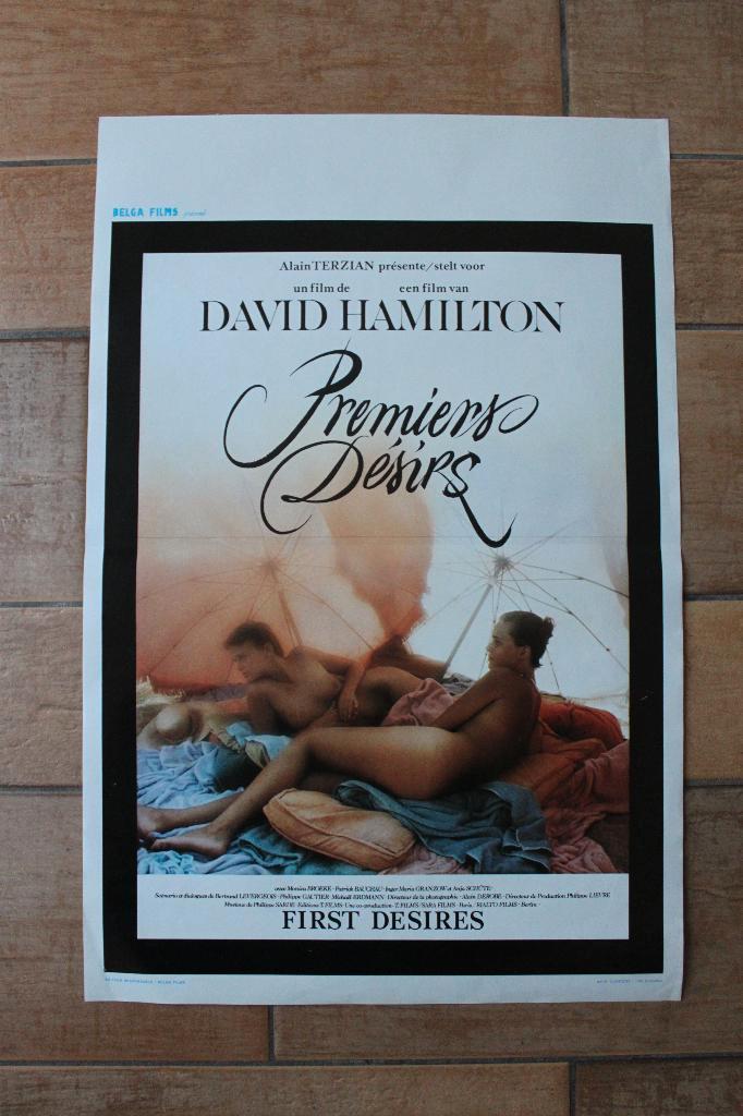 filmaffiche David Hamilton Premiers Désirs filmposter, Verzamelen, Posters, Zo goed als nieuw, Film en Tv, A1 t/m A3, Rechthoekig Staand