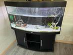 Aquarium met vissen en filter!, Dieren en Toebehoren, Vissen | Aquaria en Toebehoren, Ophalen, Gebruikt