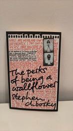 STEPHEN CHBOSKY - THE PERKS OF BEING A WALLFLOWER, Boeken, Ophalen, STEPHEN CHBOSKY