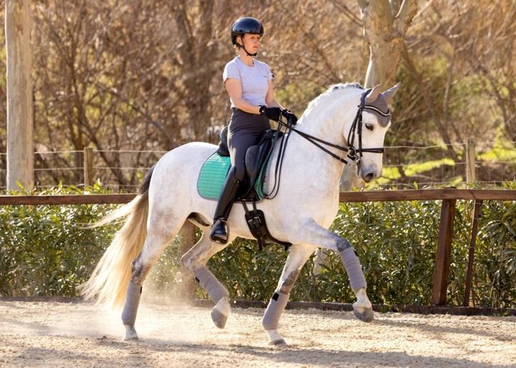 LeMieux Self-Cool Mesh dressuur dekje Spearmint SALE -50%!!!, Dieren en Toebehoren, Paarden en Pony's | Dekens en Dekjes, Nieuw