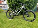 Specialized Stumpjumper EVO 29, Fully, Zo goed als nieuw, Ophalen