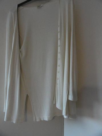 damesgilet beschikbaar voor biedingen