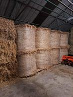 Goudgeel Stro in kleine pakjes en ronde balen, Merrie, Onbeleerd