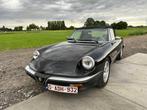 Alfa Romeo - Spider 1600 - Voiture classique, Autos, Achat, Entreprise, Cabriolet, Toit ouvrant