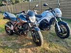 Suzuki gsr 600, Particulier