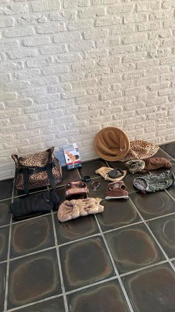 Meerdere hondenjasjes & toebehoren  beschikbaar voor biedingen
