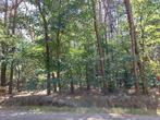 Bosgrond te koop in Meeuwen