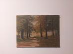 Van Looy - Olieverf op doek - Boslandschap, Enlèvement ou Envoi
