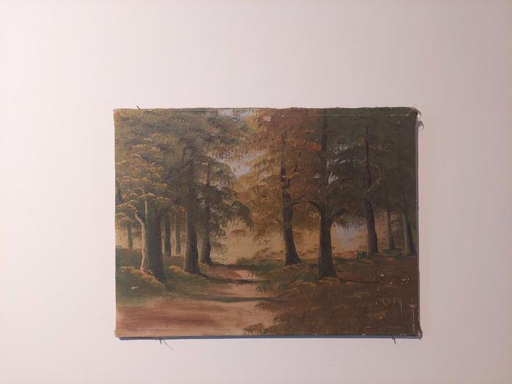 Van Looy - Olieverf op doek - Boslandschap, Antiek en Kunst, Kunst | Schilderijen | Klassiek, Ophalen of Verzenden