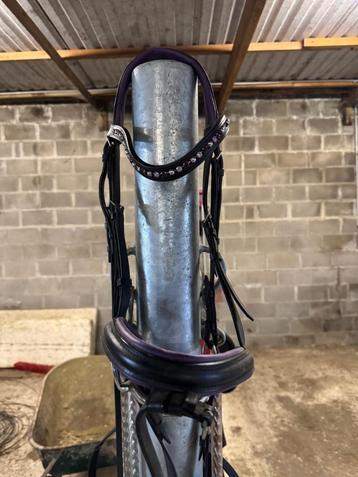 Hoofdstellen Otto Schumacher  beschikbaar voor biedingen