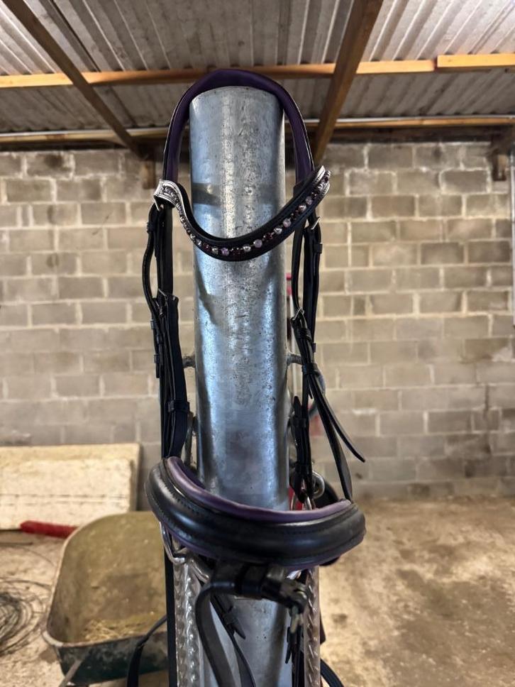 Hoofdstellen Otto Schumacher, Dieren en Toebehoren, Paarden en Pony's | Hoofdstellen en Tuigage, Gebruikt, Dressuur, Ophalen