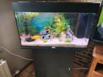 Stopzetting hobby complete aqaurium, Dieren en Toebehoren, Ophalen, Gebruikt, Gevuld zoetwateraquarium