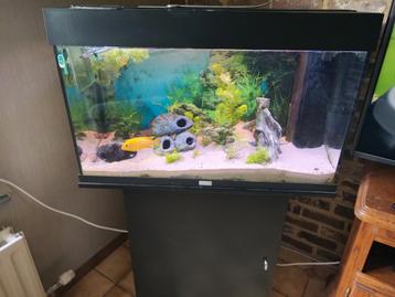 Stopzetting hobby complete aqaurium beschikbaar voor biedingen