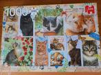CATS OR DOGS ???, Ophalen of Verzenden, Zo goed als nieuw
