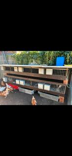 Konijnen kooi konijnenhok, Dieren en Toebehoren