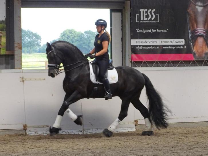 Gezocht stalling, Dieren en Toebehoren, Stalling en Weidegang, Stalling, 4 paarden of pony's of meer