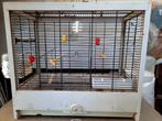 Grote vogelkooi, ook om te kweken, Dieren en Toebehoren, Vogels | Parkieten en Papegaaien