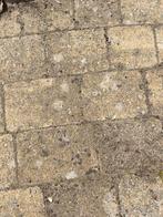 Te koop: sierklinkers te Sinaai, Ophalen, Gebruikt, Beton, Klinkers