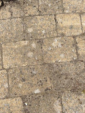 Te koop: sierklinkers te Sinaai beschikbaar voor biedingen