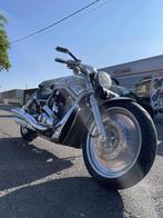 Harley-Davidson VROD, Motoren, Motoren | Harley-Davidson, 2 cilinders, Chopper, Bedrijf, Meer dan 35 kW