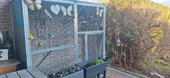 Volière, Animaux & Accessoires, Oiseaux | Cages & Volières, Utilisé, Volière, Enlèvement