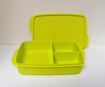 Tupperware « Lunchbox » Compartimentée - Vert - Promo