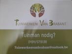 Tuinwerken VB, Diensten en Vakmensen, Tuinmannen en Stratenmakers, Tuinonderhoud of Snoeiwerk